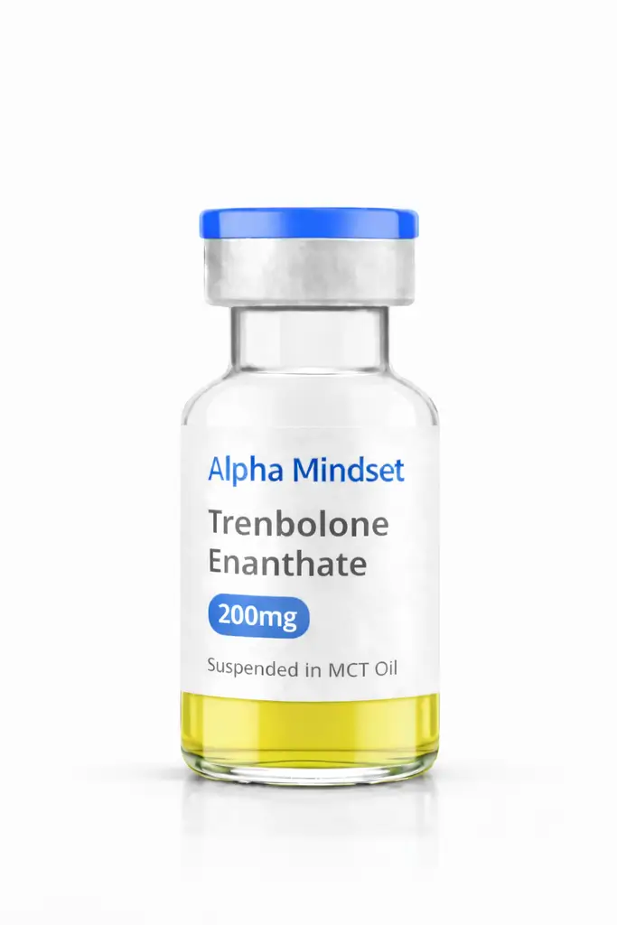 ChatGPT Image Feb 1, 2026, 12_30_36 AM